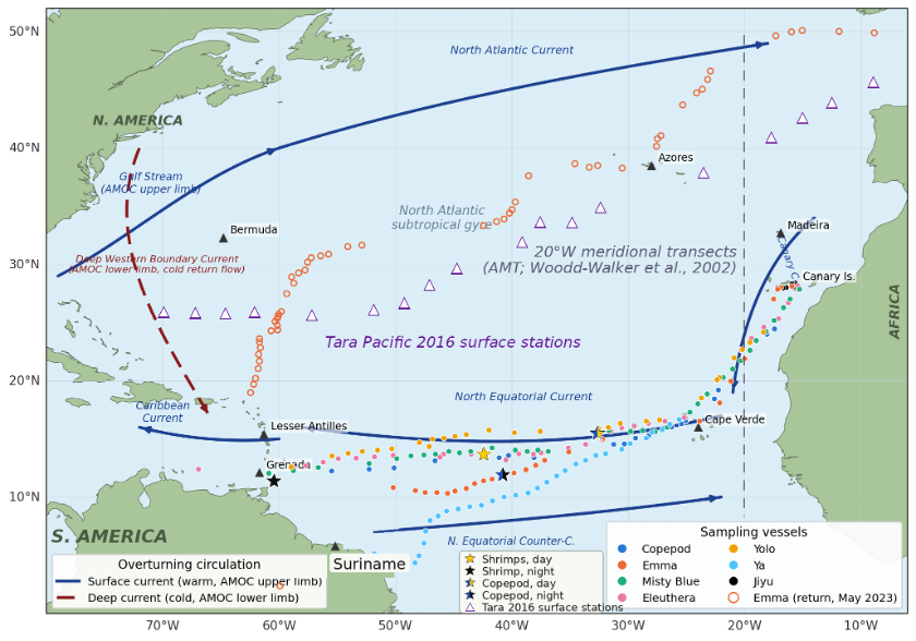 Map of the North and Equatorial Atlantic showing GOES sampling stations from eight vessels, major surface and deep currents of the overturning circulation, Tara Pacific 2016 surface stations and the 20°W meridional transects